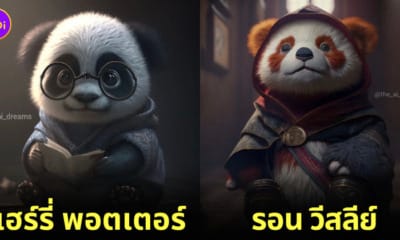 AI แพนด้า panda แฮร์รี่ พอตเตอร์ harry potter