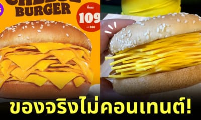ปก Burger King the real cheese burger