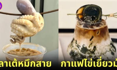 ปก จีนออกกาแฟไข่เยี่ยวม้า ลาเต้หมึกสาย