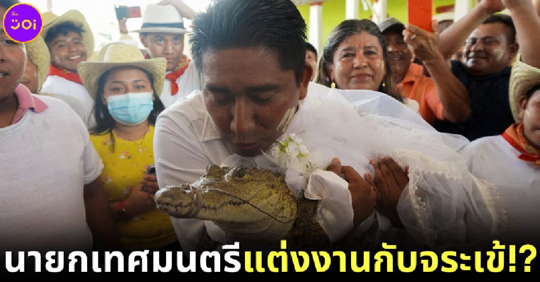 ปก นายกเทศมนตรีแต่งงานกับจระเข้
