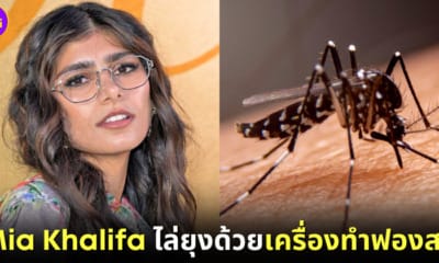 ปก วิธีไล่ยุง Mia Khalifa