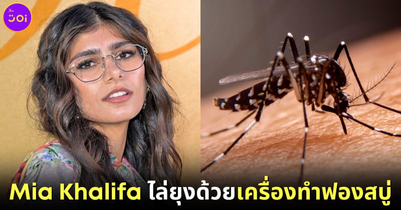 ปก วิธีไล่ยุง Mia Khalifa