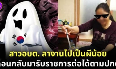 ปก สาวอบต.ร้อยเอ็ดลางาน 45 วันไปเป็นผีน้อยเกาหลีใต้