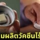ปก ออสเตรเลียเตรียมผลิตวัคซีนไร้เข็ม