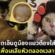 ปก เจ้าเหมียวถูกเลียหัวจนหัวล้าน ทาสแมวทำหมวกน่ารักให้ใส่ป้องกัน