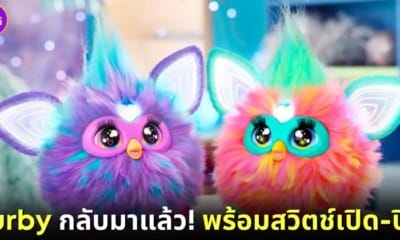 ปก เฟอร์บี้คอลเลกชันใหม่ฉลองครบรอบ 25 ปี