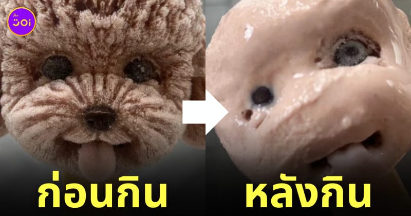 ไอศกรีมรูปหมา ละลาย