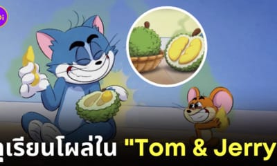 ทอมแอนด์เจอร์รี่ tom and jerry ทุเรียนไทย