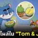 ทอมแอนด์เจอร์รี่ tom and jerry ทุเรียนไทย