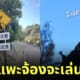 ป้ายเตือน แพะเตะหิน