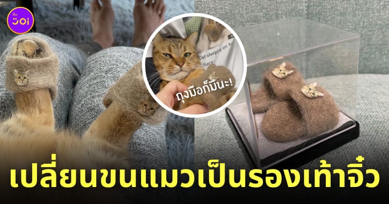รองเท้าแตะจิ๋วจากขนแมว