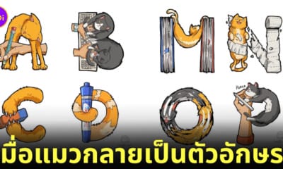 ภาพวาดประกอบ ตัวอักษรแมว