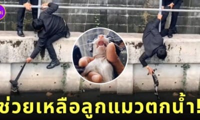 คลิป 2 หนุ่มช่วยลูกแมวตกน้ำคลอง TikTok