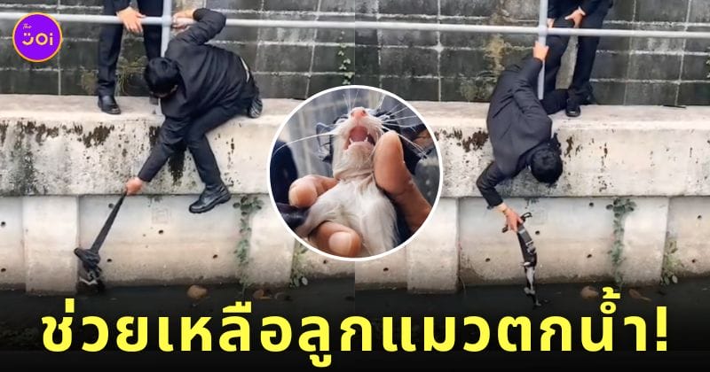 คลิป 2 หนุ่มช่วยลูกแมวตกน้ำคลอง TikTok