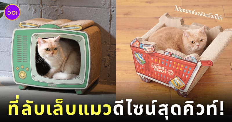 ที่ลับเล็บแมว แบรนด์ Awesome Store ญี่ปุ่น