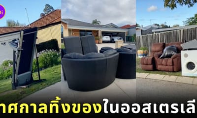 คลิปเทศกาลทิ้งของในออสเตรเลีย TikTok