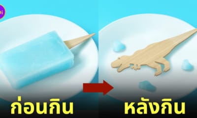 ไม้ไอติม ไดโนเสาร์