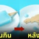 ไม้ไอติม ไดโนเสาร์