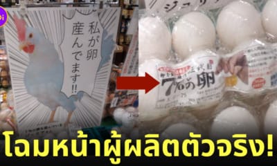 เจ้าของฟาร์มญี่ปุ่นแปะภาพแม่ไก่หน้าแผงขายไข่