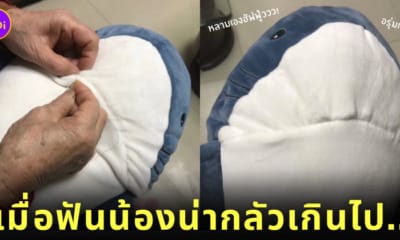 คุณย่า เย็บปาก ตุ๊กตาฉลาม ikea