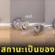 คลิปแมวมุดเข้าออกขวดน้ำ แมวเป็นของเหลว TikTok