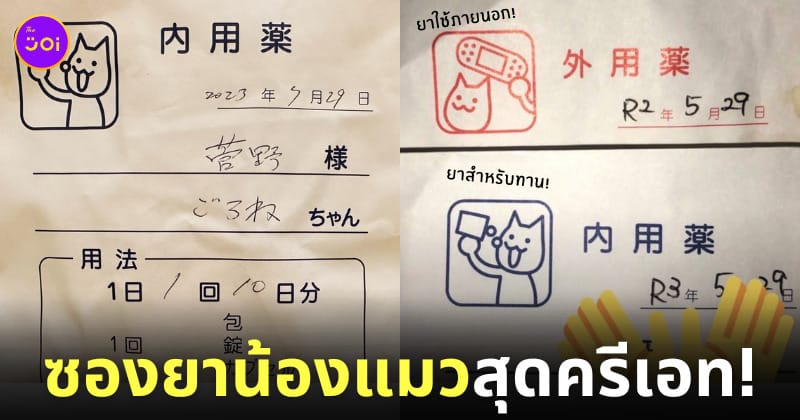 ดีไซน์ ซองยา น้องแมว ญี่ปุ่น