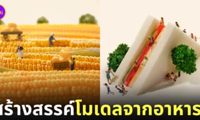 โมเดลโลกใบจิ๋ว โมเดลมนุษย์จิ๋ว โมเดลคนจิ๋ว Tatsuya Tanaka