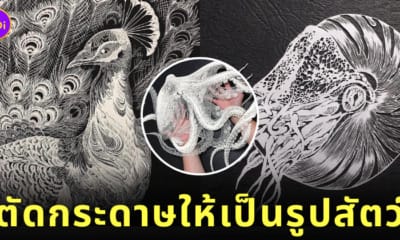 ศิลปินชาวญี่ปุ่น Masayo Fukuda ตัดกระดาษรูปสัตว์ต่าง ๆ