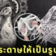 ศิลปินชาวญี่ปุ่น Masayo Fukuda ตัดกระดาษรูปสัตว์ต่าง ๆ