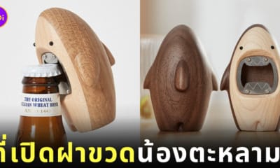 ที่เปิดขวดรูปฉลาม