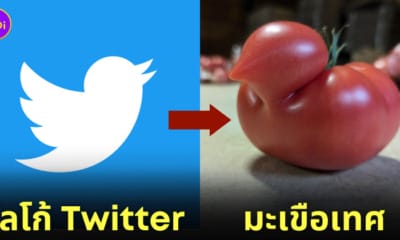 มะเขือเทศญี่ปุ่น โลโก้นกฟ้า Twitter
