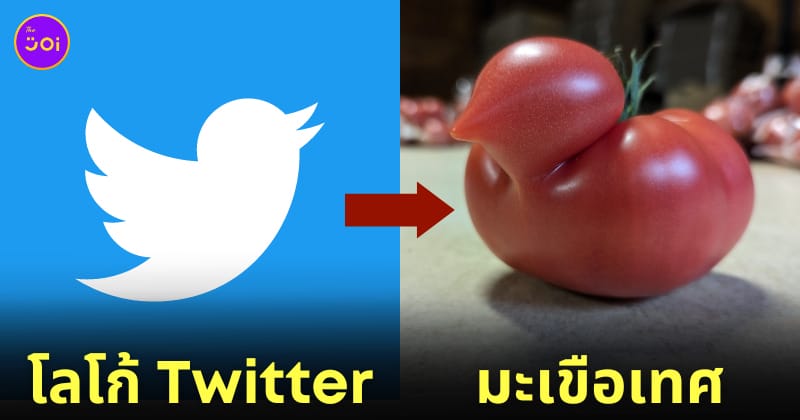 มะเขือเทศญี่ปุ่น โลโก้นกฟ้า Twitter