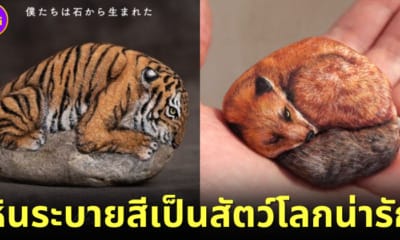 ปก 32 ภาพก้อนหินระบายสีกลายเป็นสัตว์โลกน่ารักโดยศิลปินญี่ปุ่น “Akie Nakata”