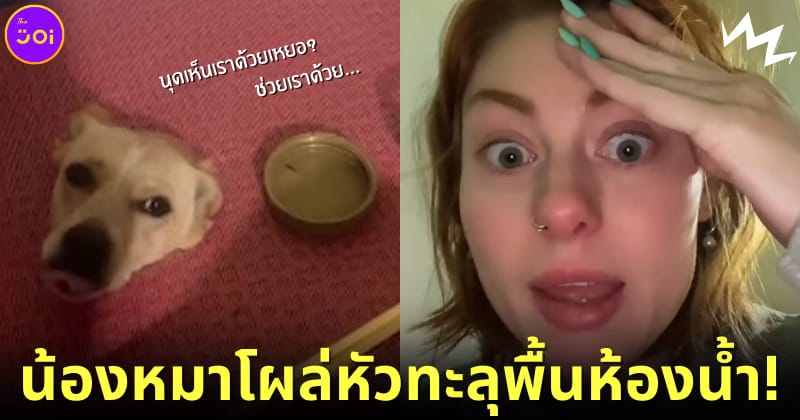 ปก Kyndal Bret สาวอเมริกันช็อกเจอน้องหมาโผล่หัวทะลุพื้นห้องน้ำ (มีคลิป)