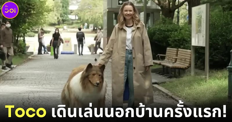 ปก Toco คนกลายเป็นหมาเดินเล่น