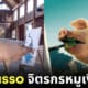 ปก pigcasso หมูวาดรูป