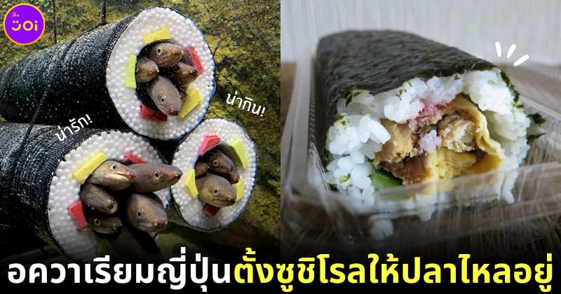 ปก ปลาไหล ซูชิโรล อควาเรียมญี่ปุ่น