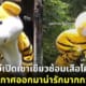 ปก สวนสัตว์เปิดเขาเขียวซ้อม เสือโคร่งอินโดจีน หลุด