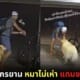 ปก สุนัขโกลเด้น รีทรีฟเวอร์ เล่นกับโจร