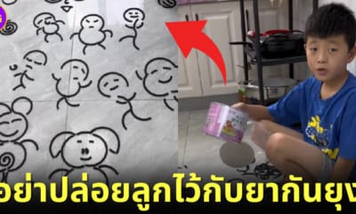 เด็กจีนหักยากันยุงแบบขดเป็นภาพการ์ตูน