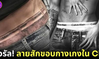 ปก1 สักสะโพกลายกางเกงใน Calvin Klein