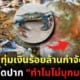อิตาลีทุ่มงบกว่าร้อยล้านกำจัดปูม้า คนไทยซี้ดปากทำไมไม่บุกมาทางนี้