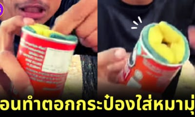 youtuber ไทยสอนทำตอกกระป๋องใส่หมามุ่ย