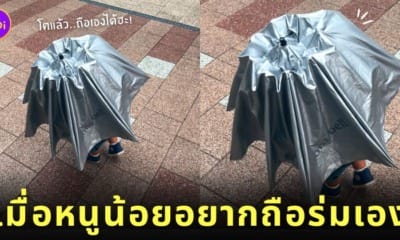 ภาพเด็กน้อยญี่ปุ่นถือร่มขนาดใหญ่กว่าตัว