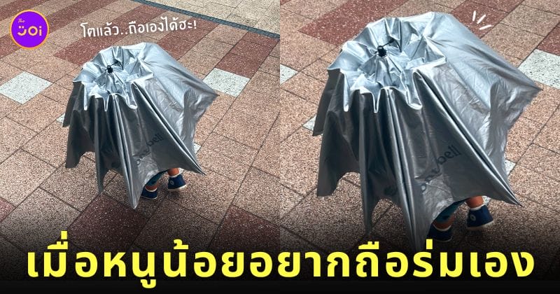 ภาพเด็กน้อยญี่ปุ่นถือร่มขนาดใหญ่กว่าตัว