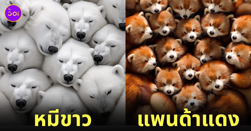 ภาพสัตว์โลกกอดกันอบอุ่น ai
