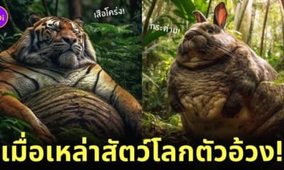 ภาพสัตว์โลก ตัวอ้วน ตัวกลม ดุดัน aiart