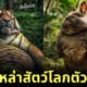 ภาพสัตว์โลก ตัวอ้วน ตัวกลม ดุดัน aiart