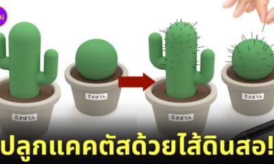 แคคตัสไส้ดินสอกด