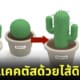 แคคตัสไส้ดินสอกด